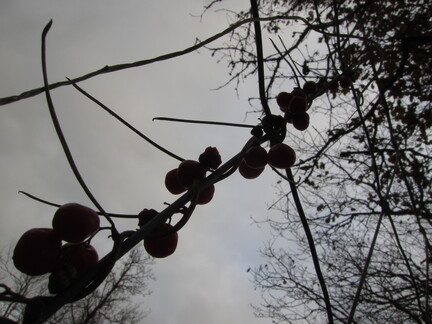 20111229 164519